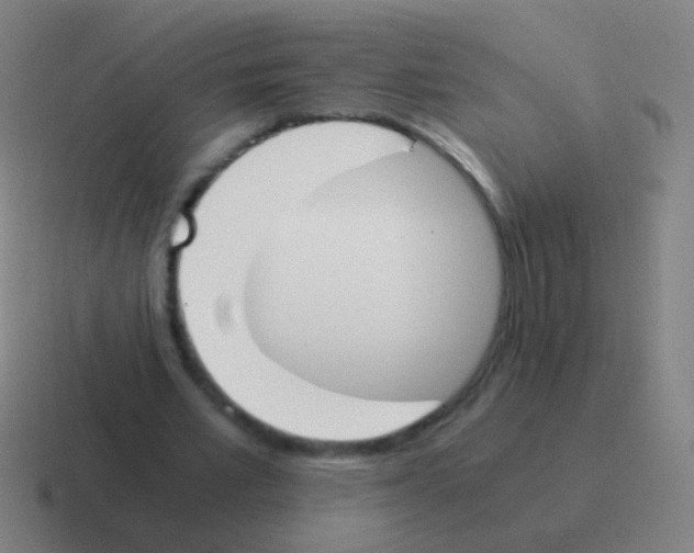 X0000116050581200912312254