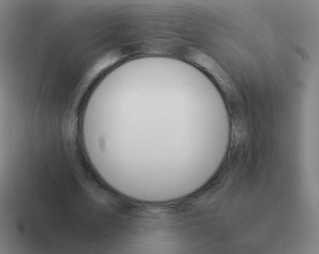 X0000116050583200912312254