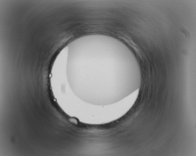 X0000116050585200912312254