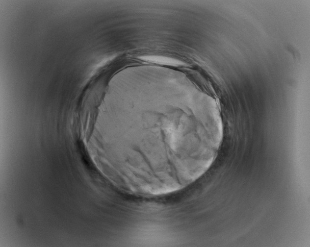 X0000116050592200912312253