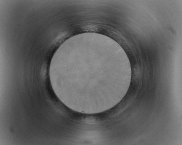 X0000116050600200912312253