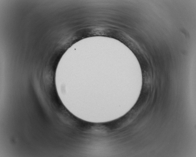 X0000116050603200912312253