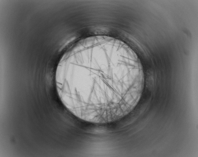 X0000116050604200912312253