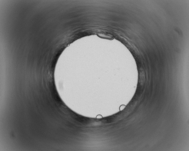 X0000116050613200912312253