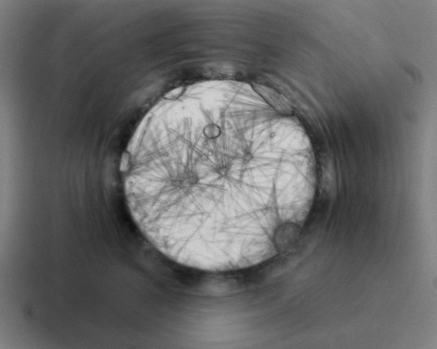 X0000116050616200912312253