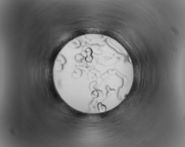 X0000116050619200912312253