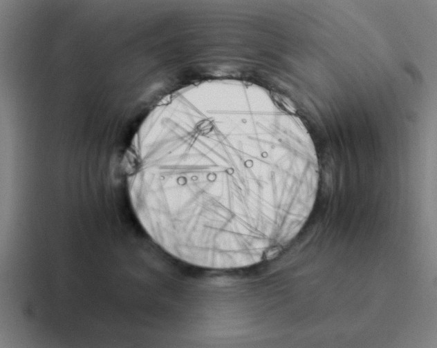 X0000116050620200912312253