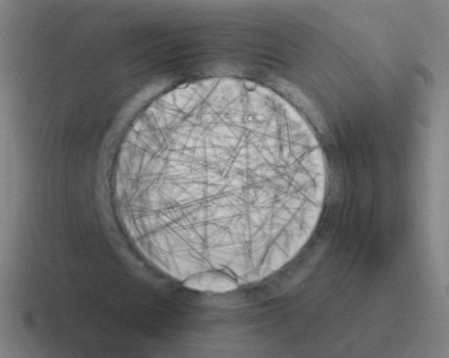 X0000116050625200912312252