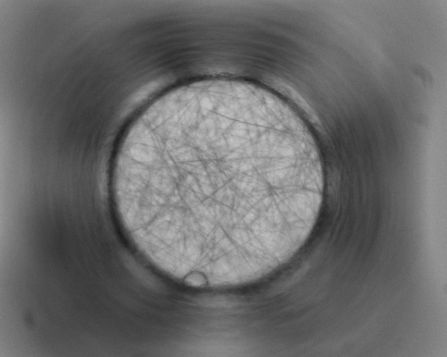 X0000116050629200912312253