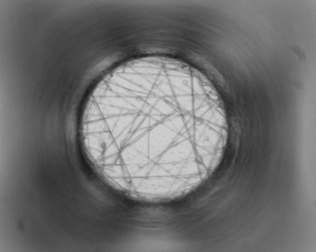 X0000116050631200912312253