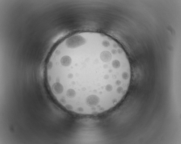 X0000116050632200912312253