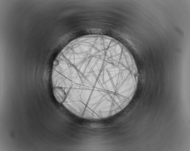 X0000116050645200912312253