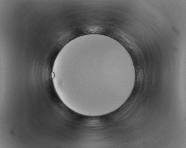 X0000116050651200912312253