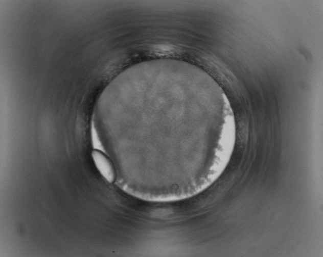 X0000116050653200912312253
