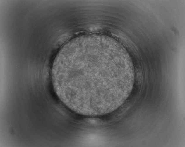 X0000116050654200912312253
