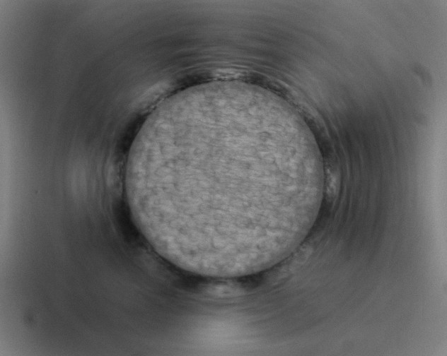 X0000116050666200912312253