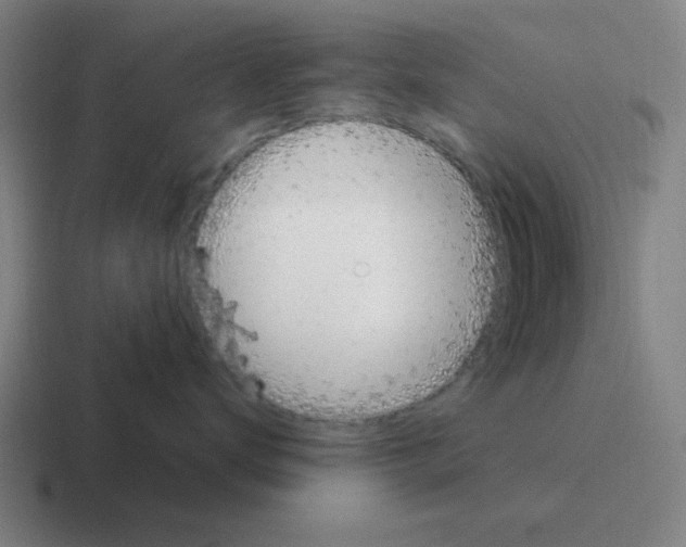 X0000116050672200912312253