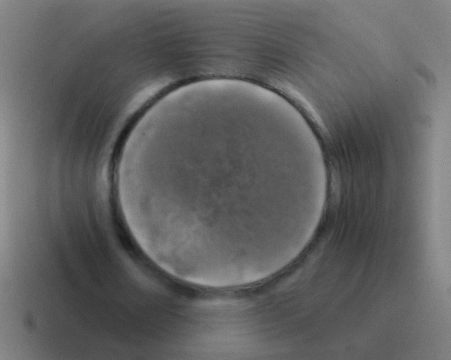 X0000116050674200912312252