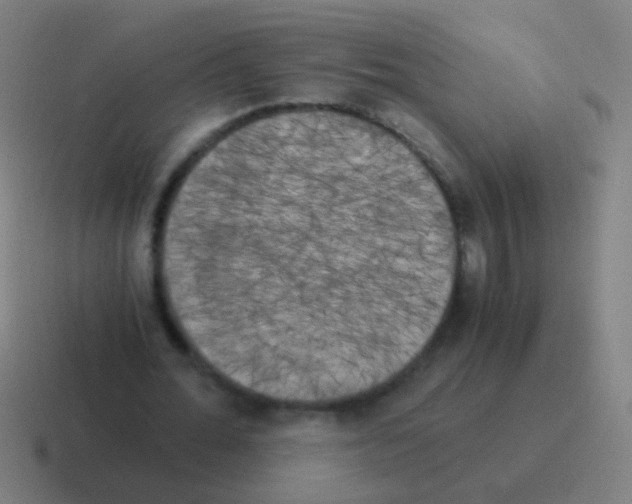X0000116050676200912312252