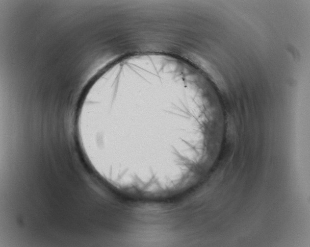 X0000116050677200912312252