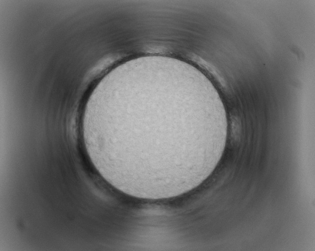 X0000116050682200912312252