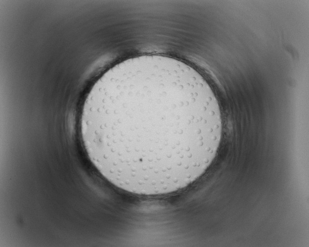 X0000116050686200912312252