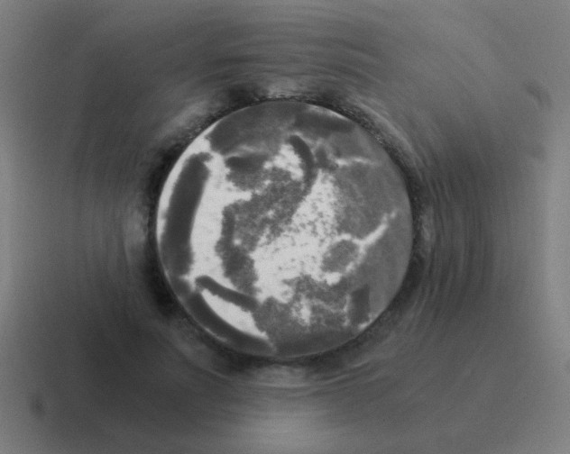 X0000116050691200912312252