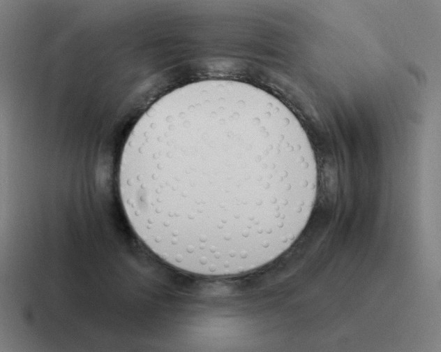X0000116050698200912312252