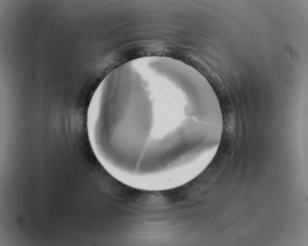 X0000116050715200912312252