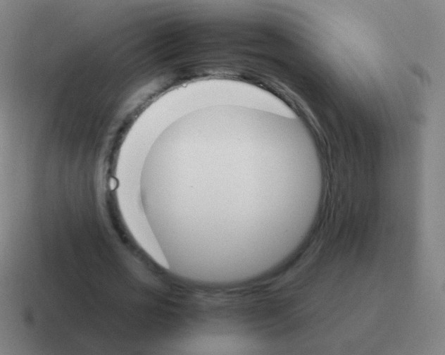 X0000116050725200912312251