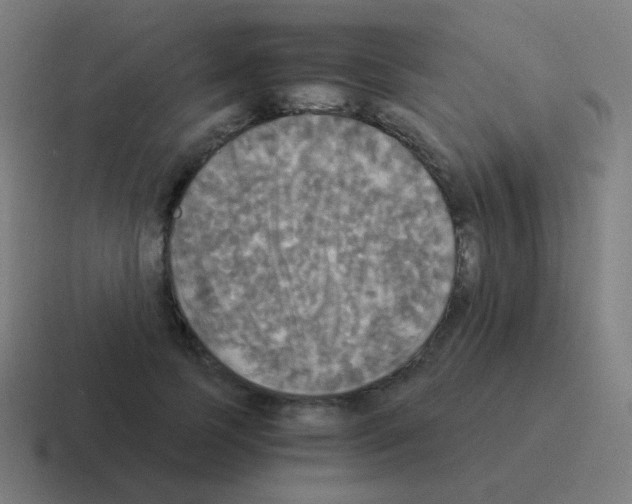 X0000116050745200912312252