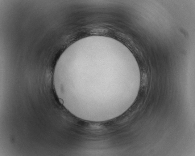 X0000116050753200912312252