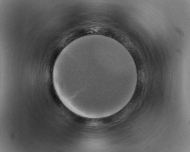 X0000116050754200912312252