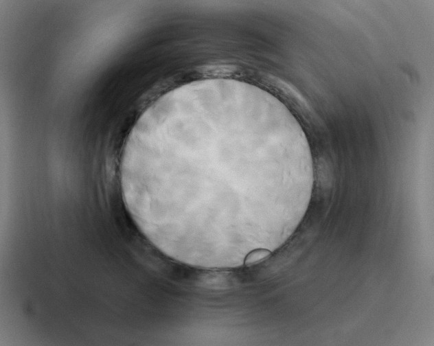 X0000116050761200912312252
