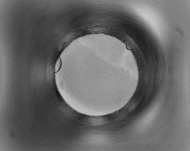 X0000116050767200912312252