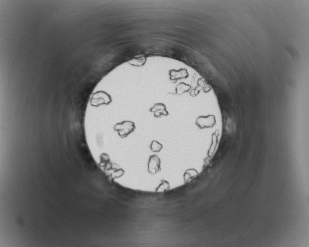 X0000116050771200912312251