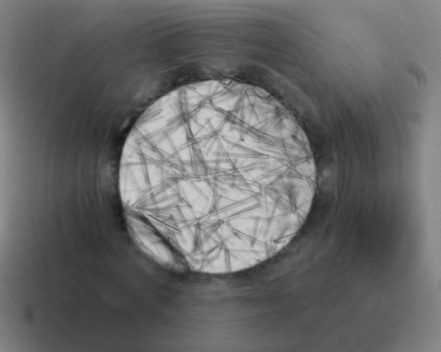 X0000116050772200912312251