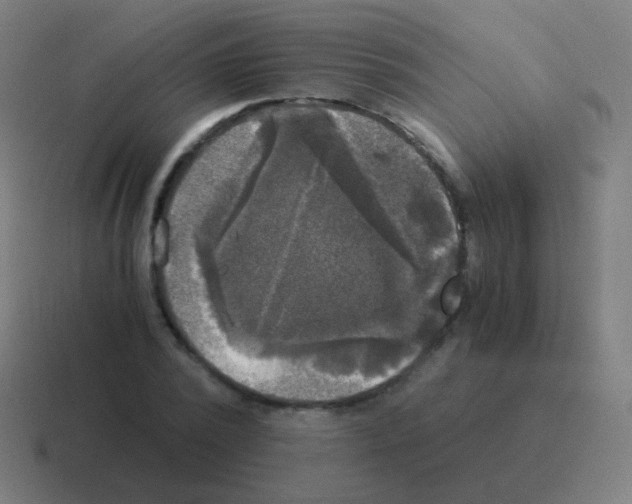 X0000116050784200912312251