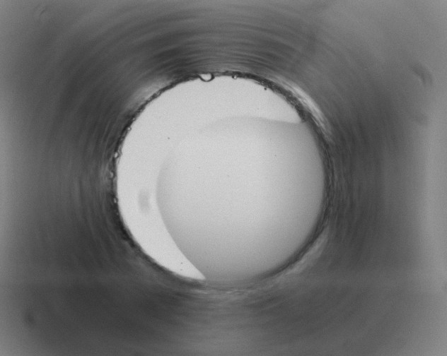 X0000116050785200912312251