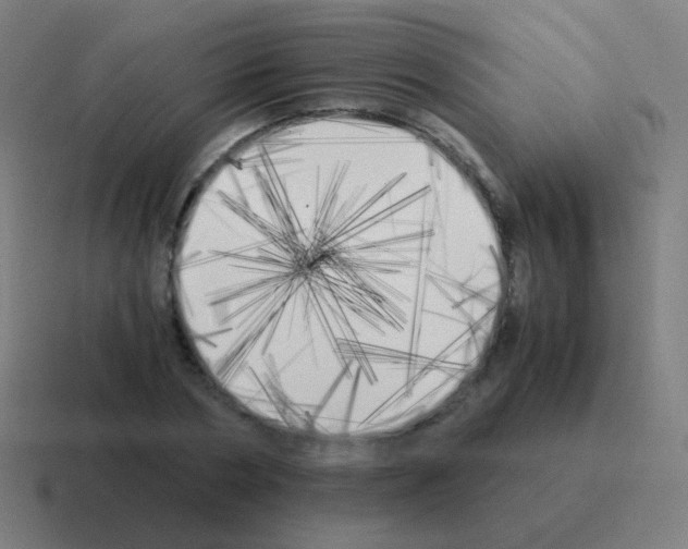 X0000116050786200912312251