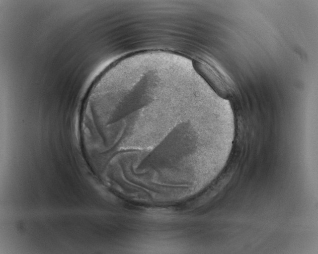 X0000116050788200912312251