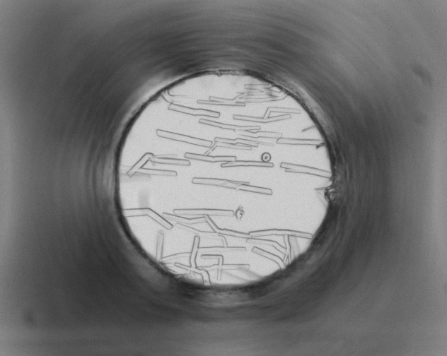 X0000116050795200912312251