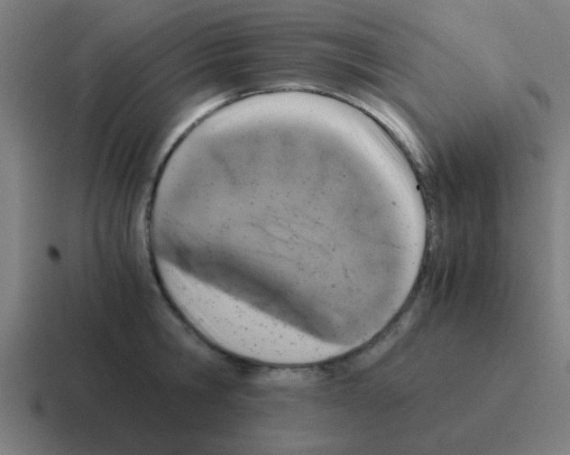 X0000116050806200912312251