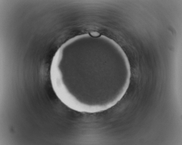 X0000116050818200912312250
