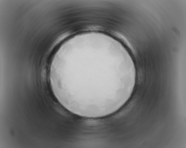 X0000116050827200912312250