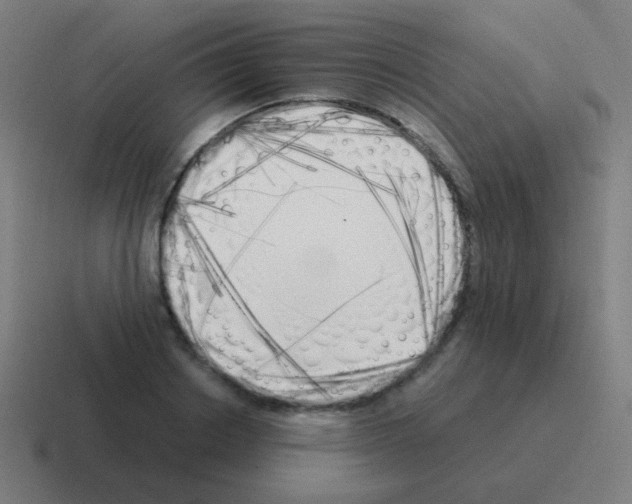 X0000116050842200912312250
