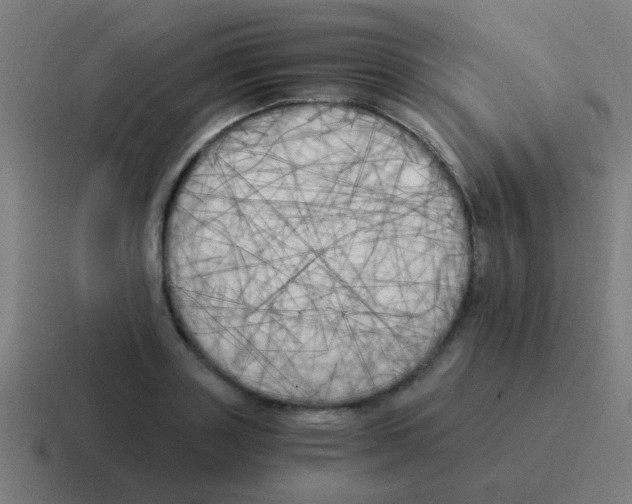 X0000116050843200912312250