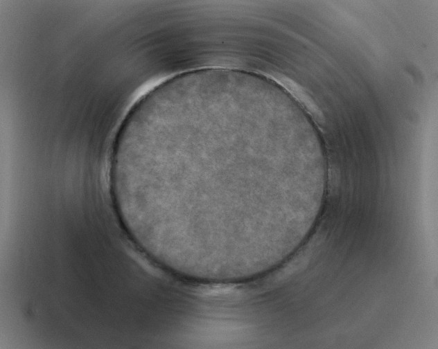 X0000116050846200912312250