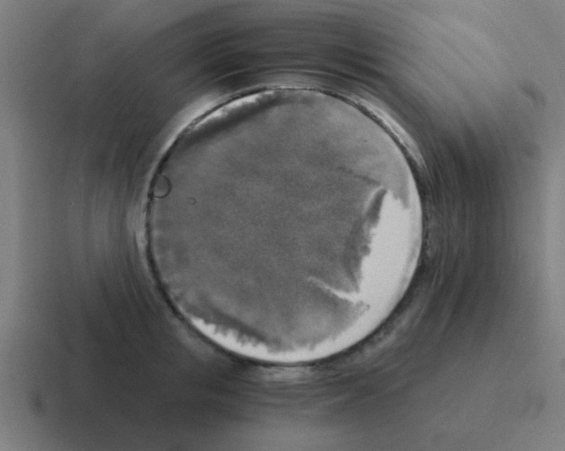 X0000116050853200912312250