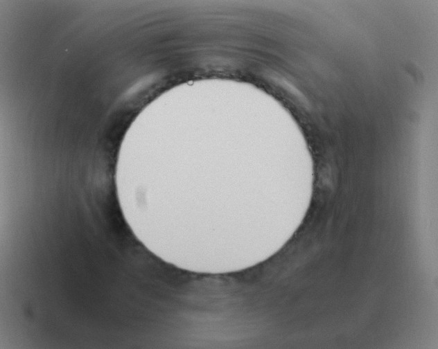 X0000116050869200912312250